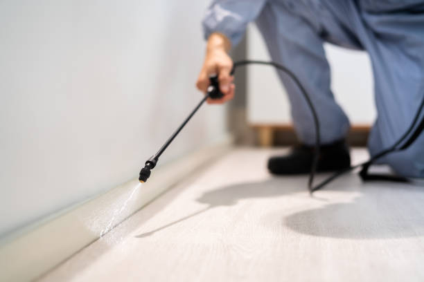 Licensed Pest Control service in Crest Hill, IL - Show Me Pest Control